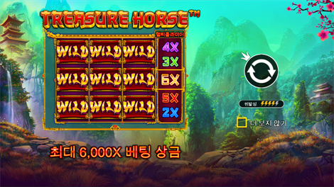 사파리 킹